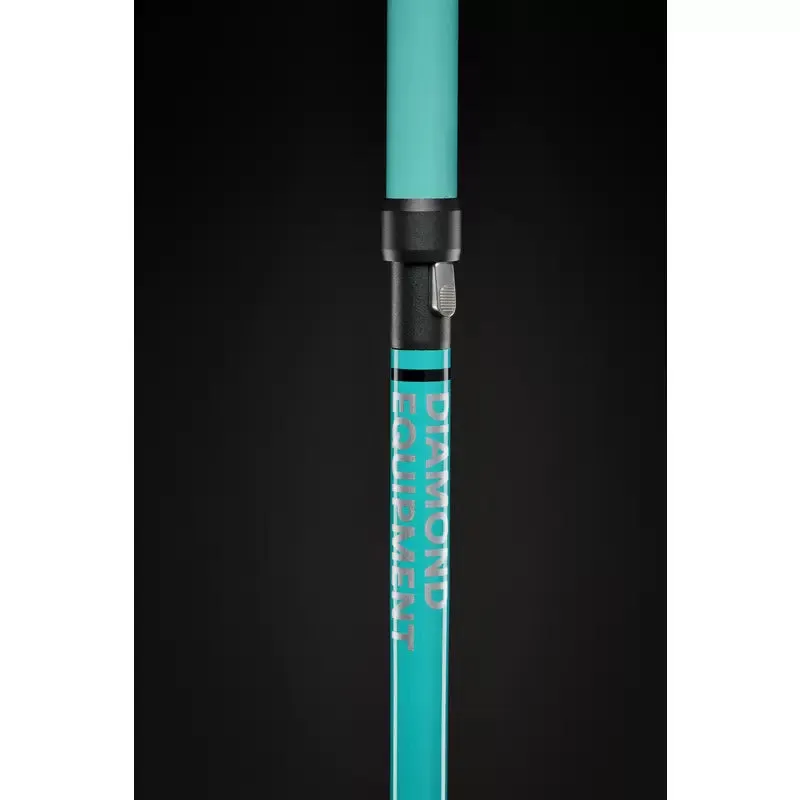Black Diamond Distance Carbon Z Poles - Women's