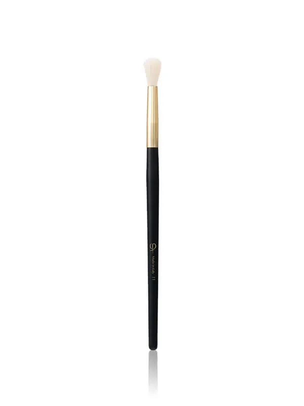 PhiNesse Brush Kit
