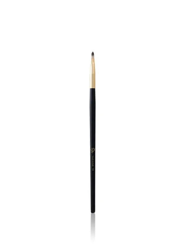 PhiNesse Brush Kit