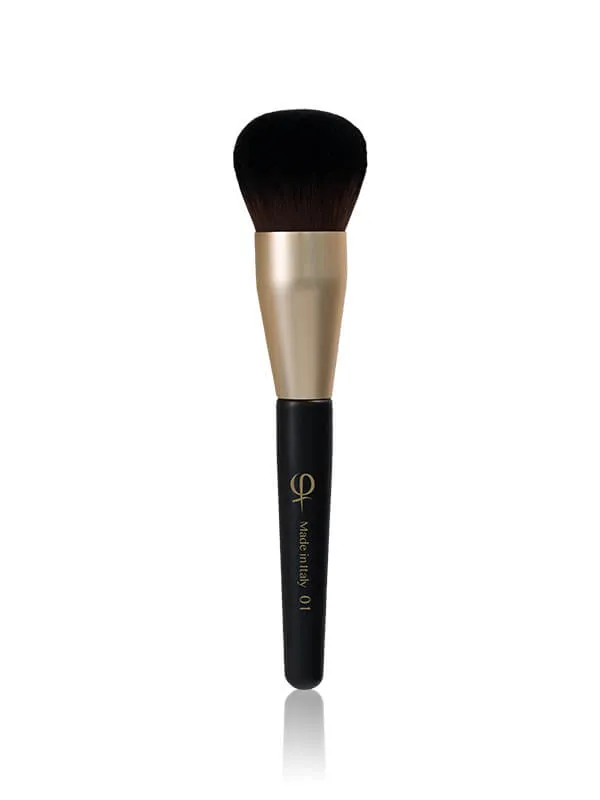PhiNesse Brush Kit