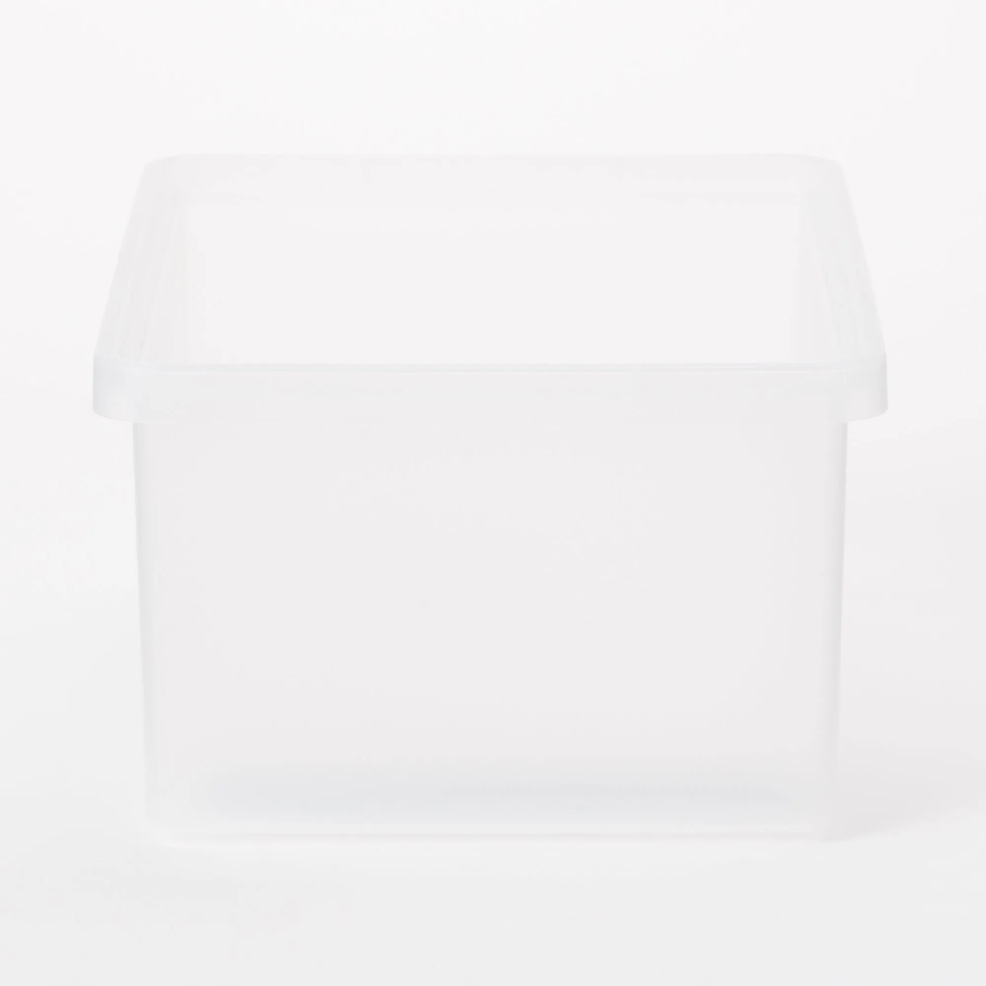 Polypropylene Storage Box Medium