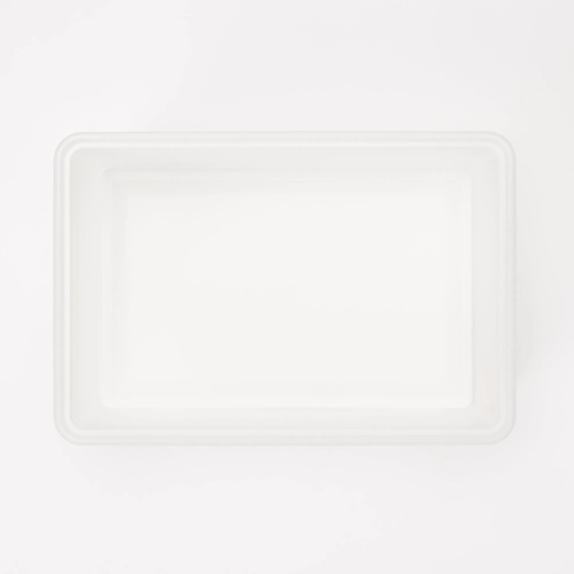 Polypropylene Storage Box Medium