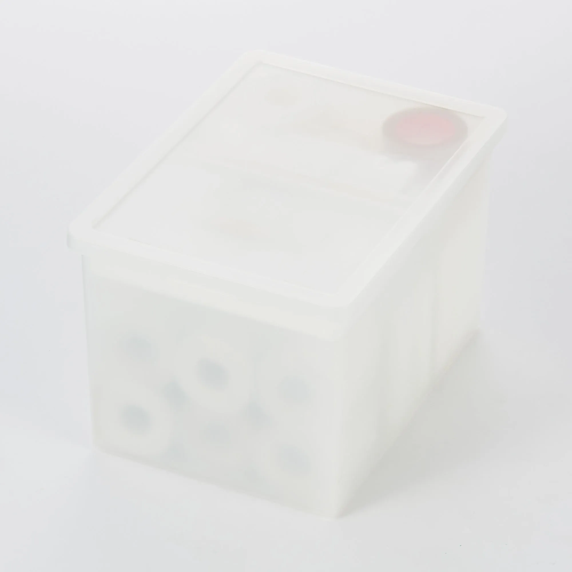 Polypropylene Storage Box Wide Deep